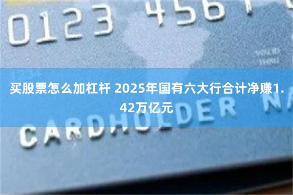 买股票怎么加杠杆 2025年国有六大行合计净赚1.42万亿元