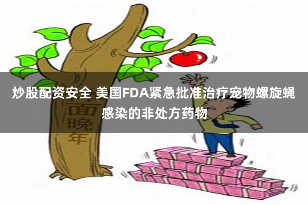 炒股配资安全 美国FDA紧急批准治疗宠物螺旋蝇感染的非处方药物
