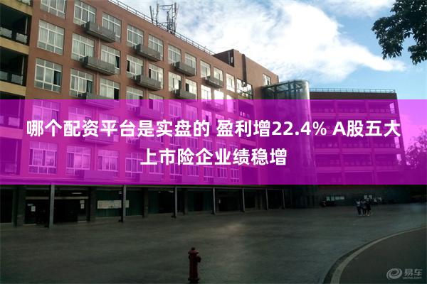 哪个配资平台是实盘的 盈利增22.4% A股五大上市险企业绩稳增