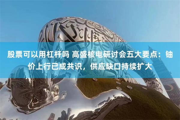 股票可以用杠杆吗 高盛核电研讨会五大要点：铀价上行已成共识，供应缺口持续扩大