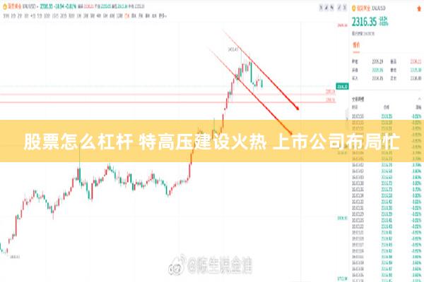 股票怎么杠杆 特高压建设火热 上市公司布局忙