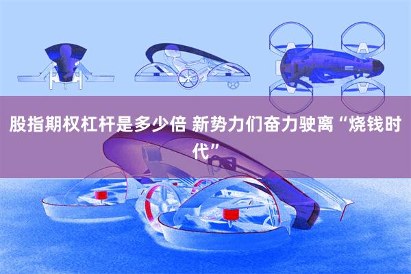 股指期权杠杆是多少倍 新势力们奋力驶离“烧钱时代”