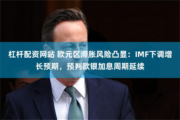 杠杆配资网站 欧元区滞胀风险凸显：IMF下调增长预期，预判欧银加息周期延续
