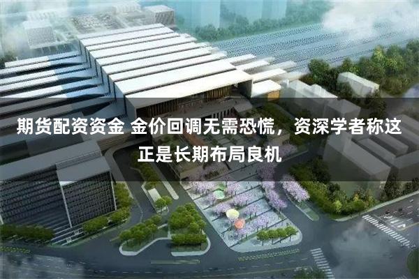 期货配资资金 金价回调无需恐慌，资深学者称这正是长期布局良机