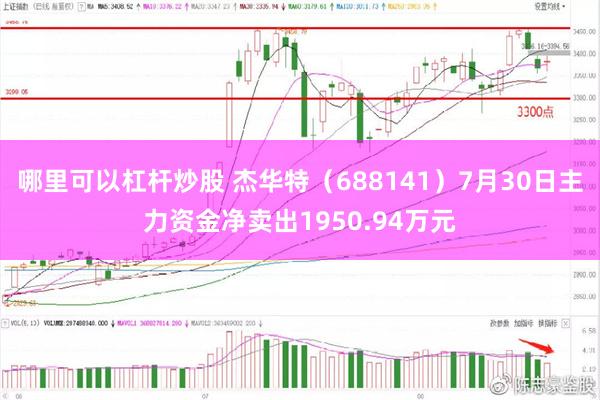 哪里可以杠杆炒股 杰华特（688141）7月30日主力资金净卖出1950.94万元