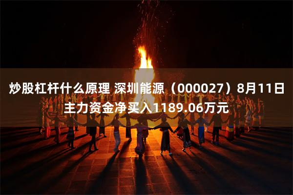 炒股杠杆什么原理 深圳能源（000027）8月11日主力资金净买入1189.06万元