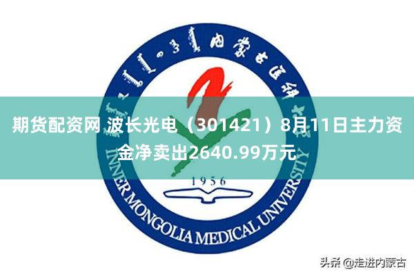 期货配资网 波长光电（301421）8月11日主力资金净卖出2640.99万元