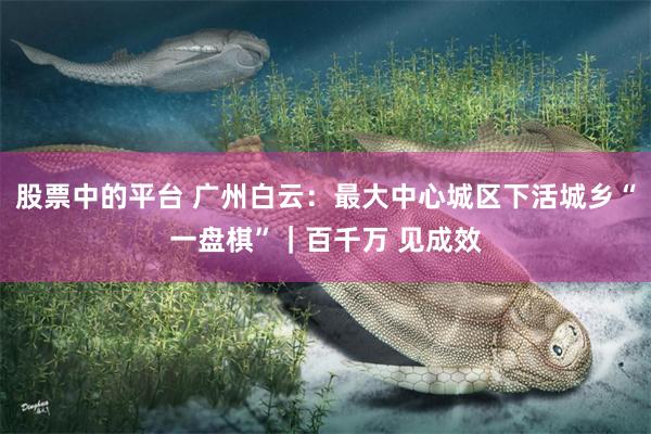 股票中的平台 广州白云：最大中心城区下活城乡“一盘棋”｜百千万 见成效