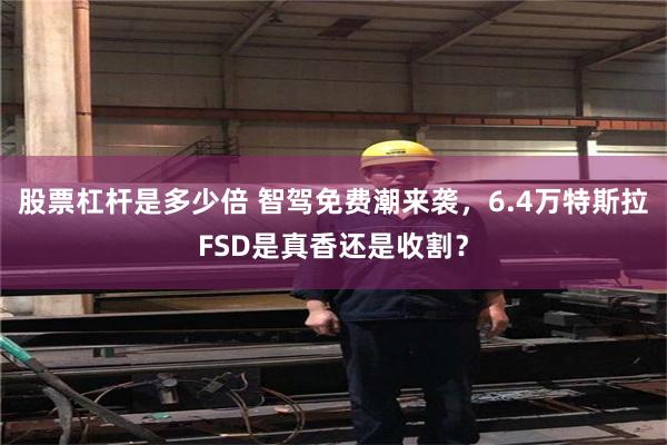 股票杠杆是多少倍 智驾免费潮来袭,6.4万特斯拉FSD是真香还是收割?