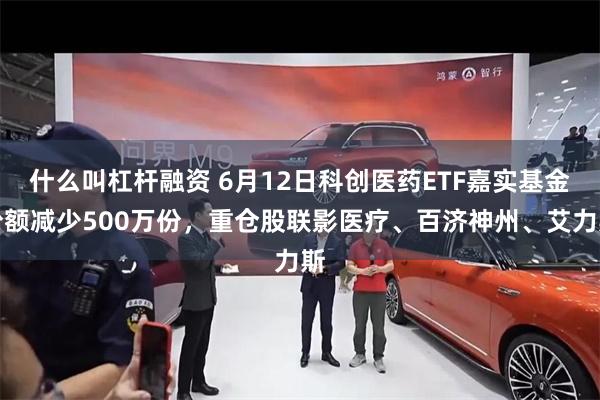 什么叫杠杆融资 6月12日科创医药ETF嘉实基金份额减少500万份，重仓股联影医疗、百济神州、艾力斯