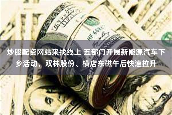 炒股配资网站来找线上 五部门开展新能源汽车下乡活动，双林股份、横店东磁午后快速拉升