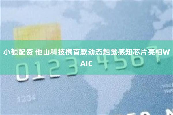 小额配资 他山科技携首款动态触觉感知芯片亮相WAIC