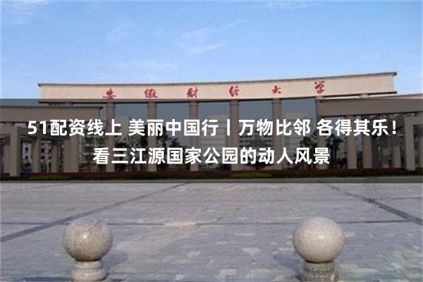 51配资线上 美丽中国行丨万物比邻 各得其乐！看三江源国家公园的动人风景