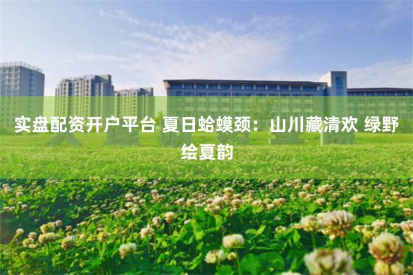 实盘配资开户平台 夏日蛤蟆颈：山川藏清欢 绿野绘夏韵