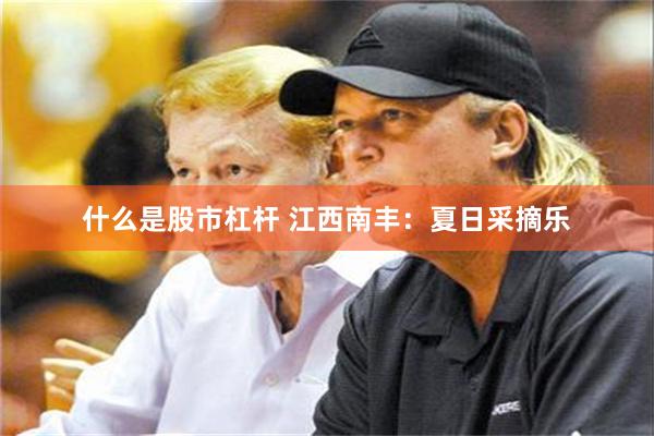 什么是股市杠杆 江西南丰：夏日采摘乐