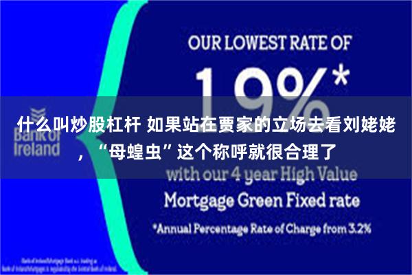 什么叫炒股杠杆 如果站在贾家的立场去看刘姥姥，“母蝗虫”这个称呼就很合理了