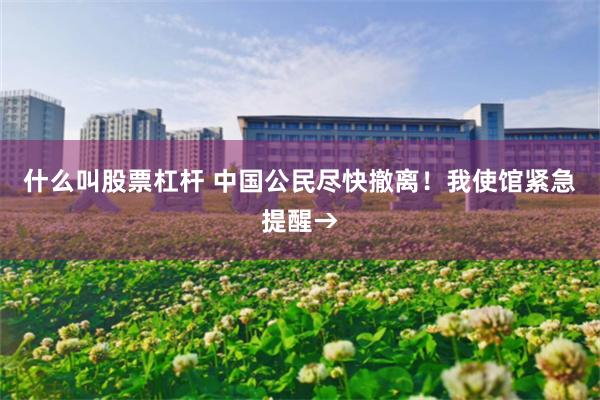 什么叫股票杠杆 中国公民尽快撤离！我使馆紧急提醒→