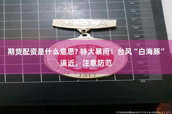 期货配资是什么意思? 特大暴雨！台风“白海豚”逼近，注意防范