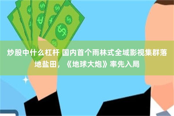 炒股中什么杠杆 国内首个雨林式全域影视集群落地盐田，《地球大炮》率先入局
