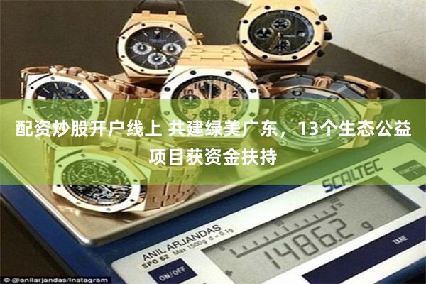 配资炒股开户线上 共建绿美广东，13个生态公益项目获资金扶持