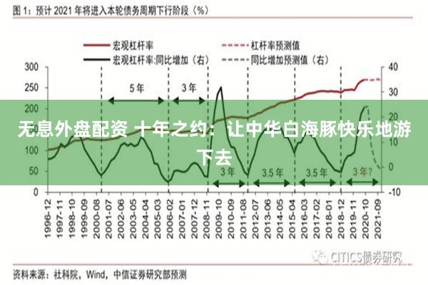 无息外盘配资 十年之约:让中华白海豚快乐地游下去
