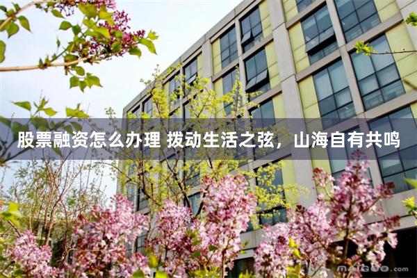 股票融资怎么办理 拨动生活之弦,山海自有共鸣