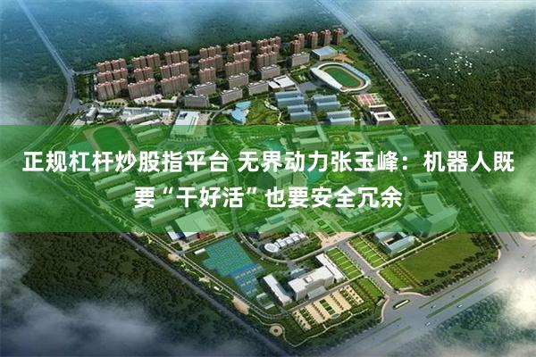 正规杠杆炒股指平台 无界动力张玉峰：机器人既要“干好活”也要安全冗余