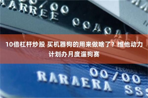 10倍杠杆炒股 买机器狗的用来做啥了？维他动力计划办月度遛狗赛