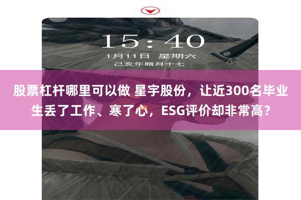 股票杠杆哪里可以做 星宇股份，让近300名毕业生丢了工作、寒了心，ESG评价却非常高？