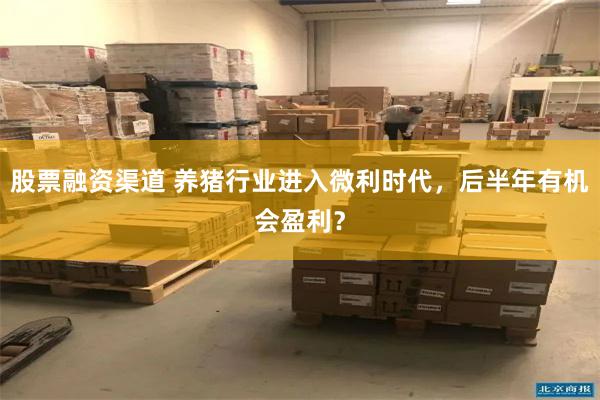 股票融资渠道 养猪行业进入微利时代，后半年有机会盈利？