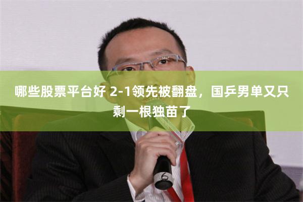 哪些股票平台好 2-1领先被翻盘，国乒男单又只剩一根独苗了
