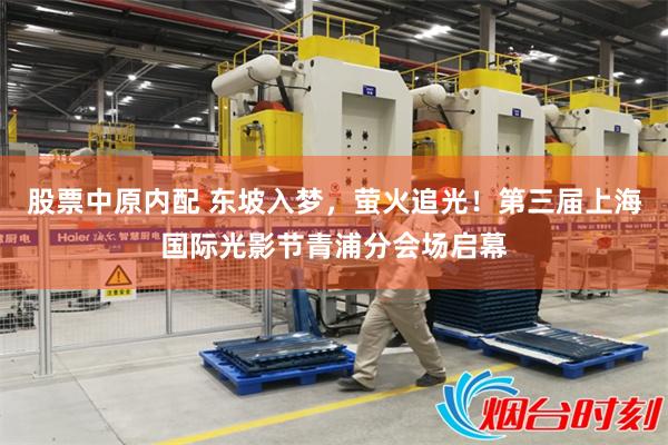 股票中原内配 东坡入梦，萤火追光！第三届上海国际光影节青浦分会场启幕