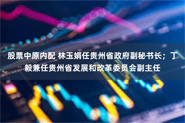 股票中原内配 林玉娟任贵州省政府副秘书长；丁毅兼任贵州省发展和改革委员会副主任