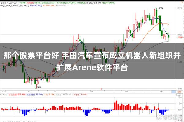 那个股票平台好 丰田汽车宣布成立机器人新组织并扩展Arene软件平台