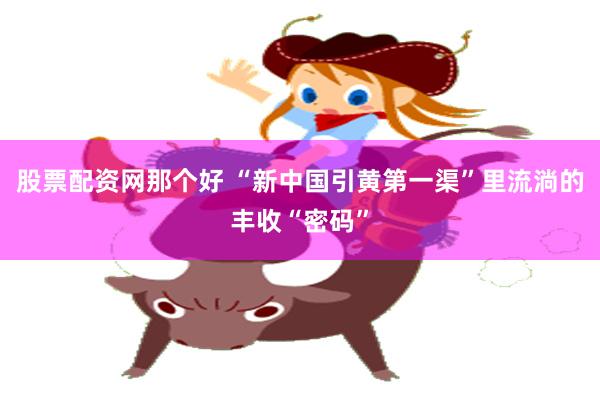 股票配资网那个好 “新中国引黄第一渠”里流淌的丰收“密码”