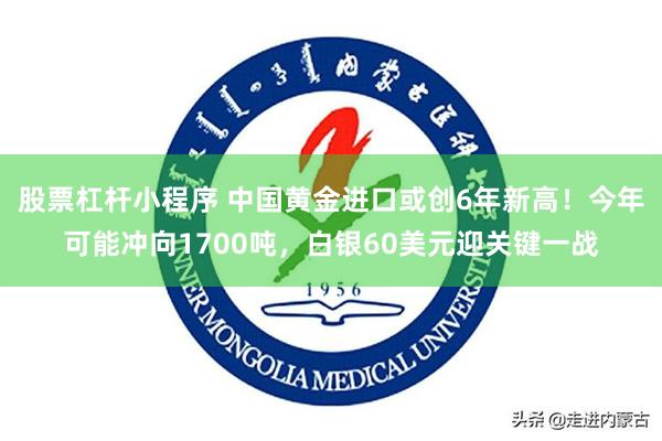 股票杠杆小程序 中国黄金进口或创6年新高！今年可能冲向1700吨，白银60美元迎关键一战