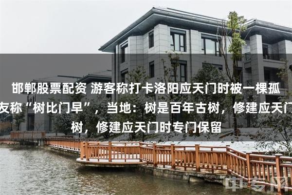 邯郸股票配资 游客称打卡洛阳应天门时被一棵孤树遮挡,网友称“树比门早”,当地:树是百年古树,修建应天门时专门保留