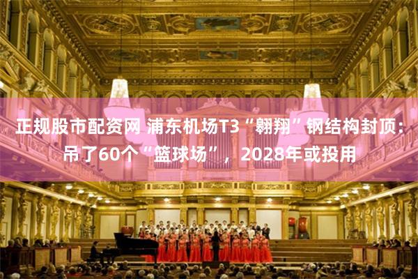 正规股市配资网 浦东机场T3“翱翔”钢结构封顶：吊了60个“篮球场”，2028年或投用